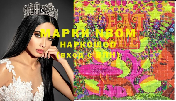 индика Снежногорск