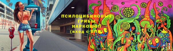 винт Инта