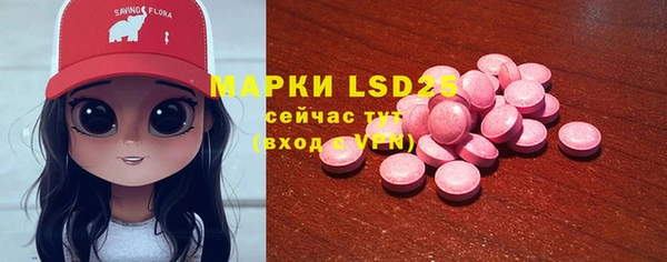винт Инта