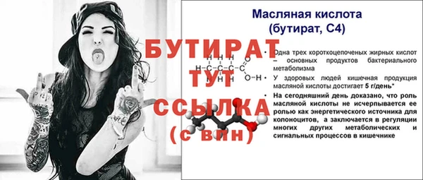 индика Снежногорск