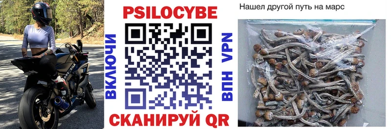 Псилоцибиновые грибы Psilocybine cubensis  Купить где  Торжок 